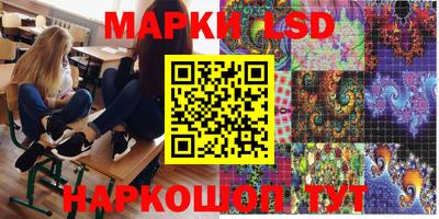 амф Шахты