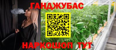 молекула духа Шелехов