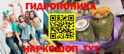 молекула духа Шелехов