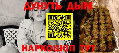 молекула духа Шелехов
