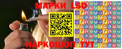 молекула духа Шелехов