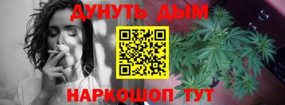 амф Шахты