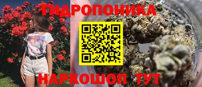 молекула духа Шелехов