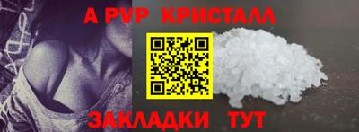 молекула духа Шелехов
